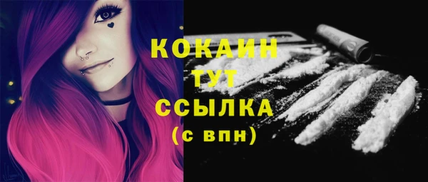 тгк Володарск