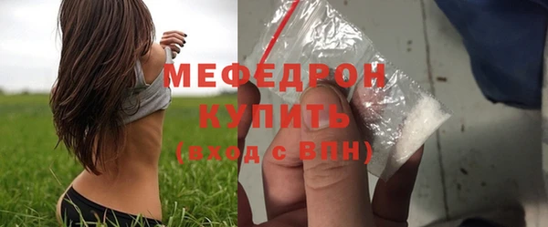 прущие грибы Верея