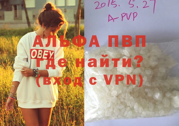 прущие грибы Верея