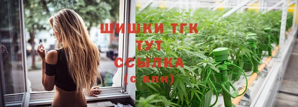 тгк Володарск