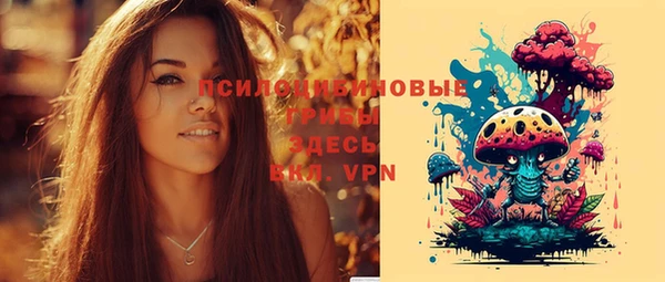 тгк Володарск